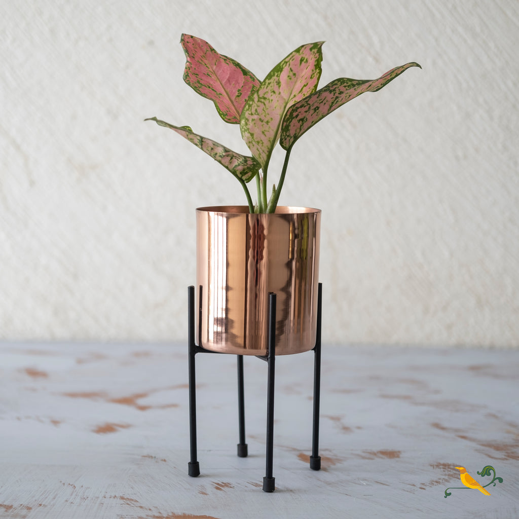 Copper Gleam Planter