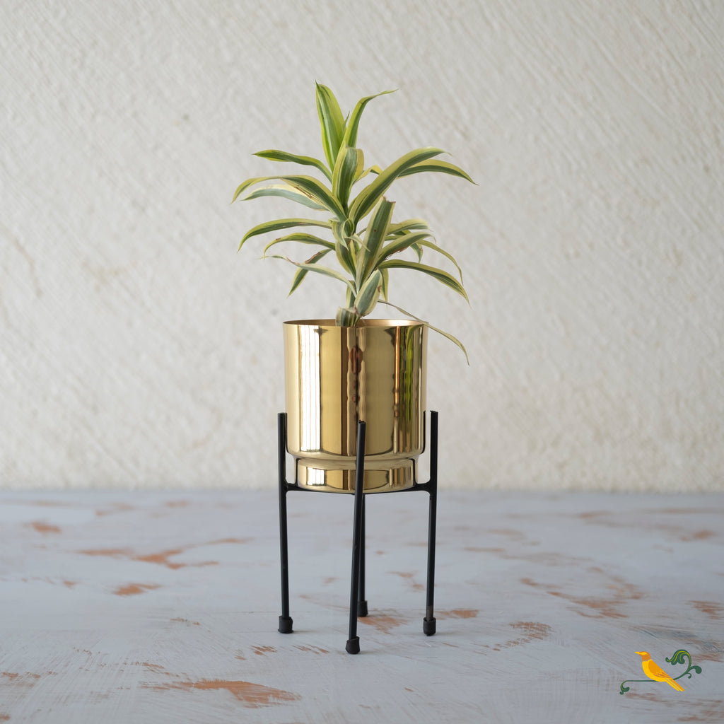 Gold Gleam Planter