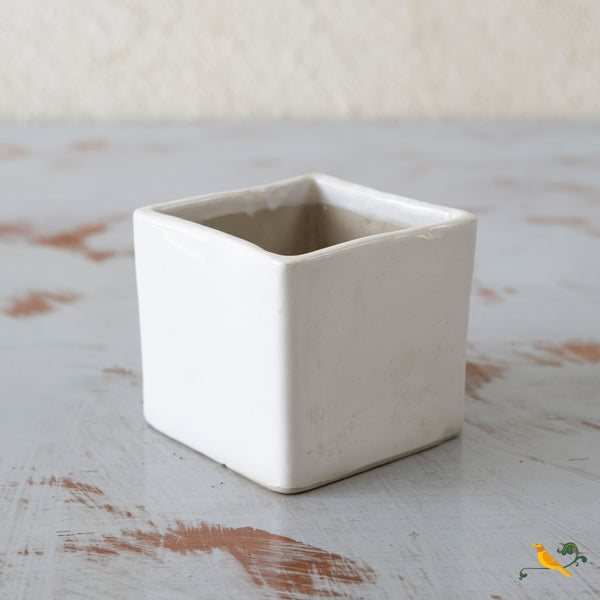 Whimsical White Box Planter