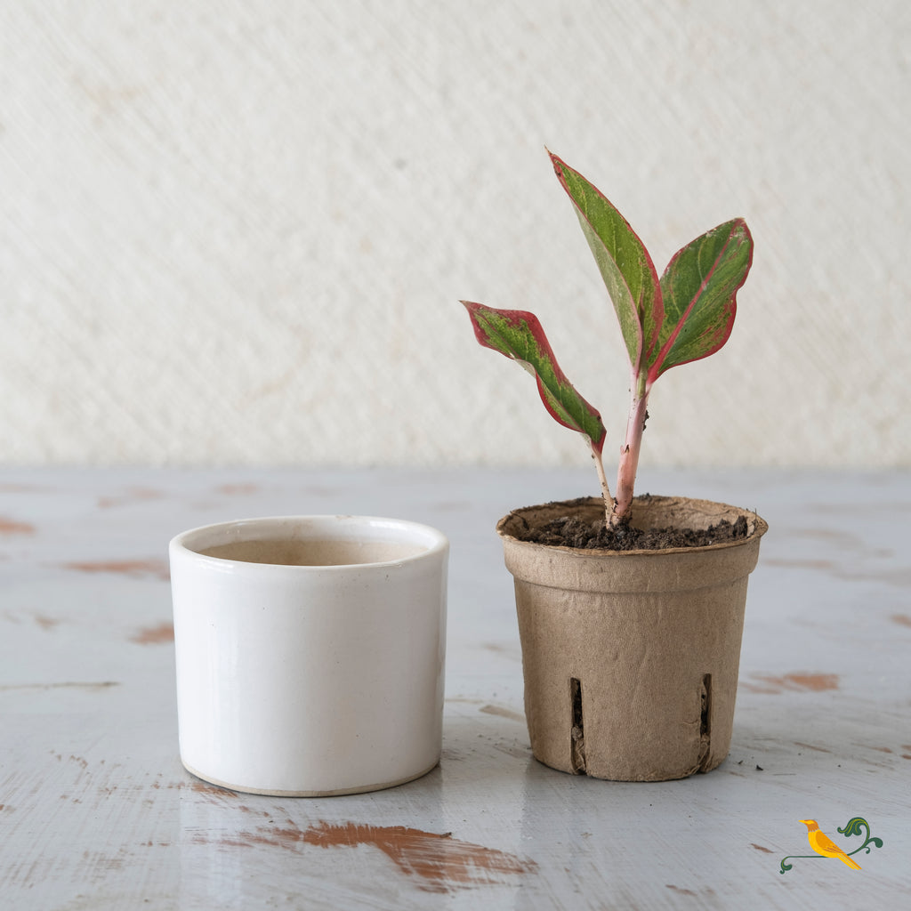 Wondrous White Cylindrical Planter