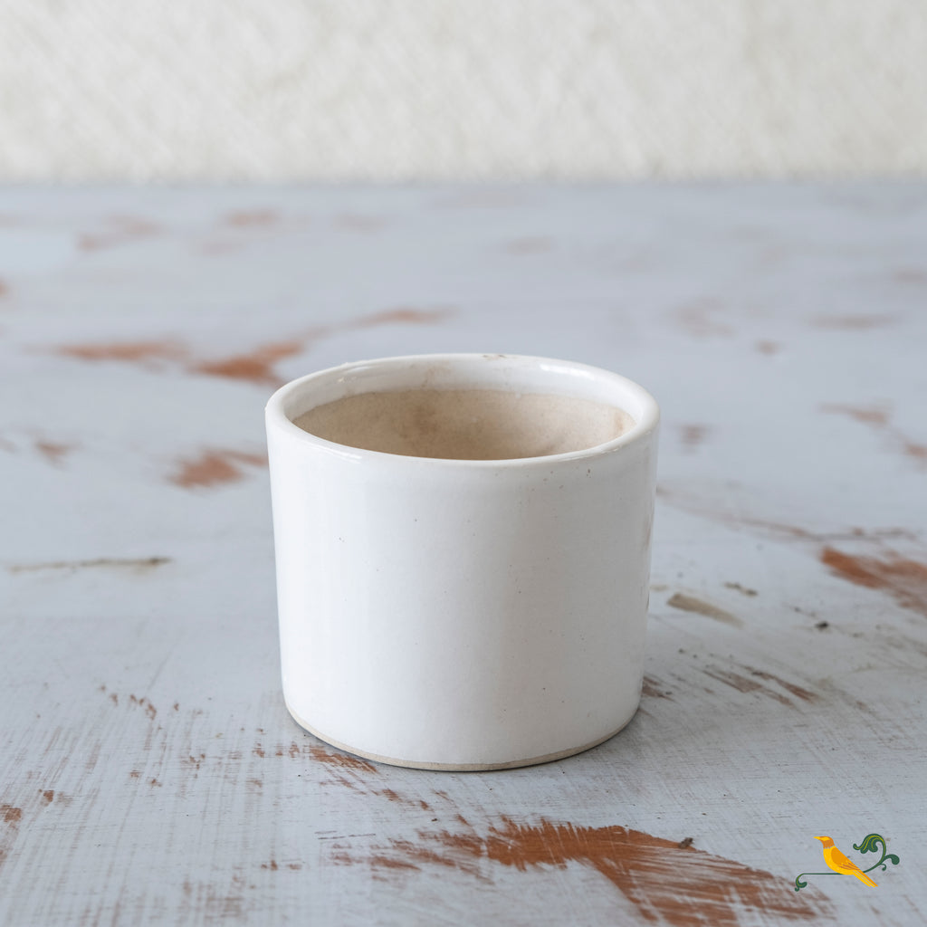 Wondrous White Cylindrical Planter