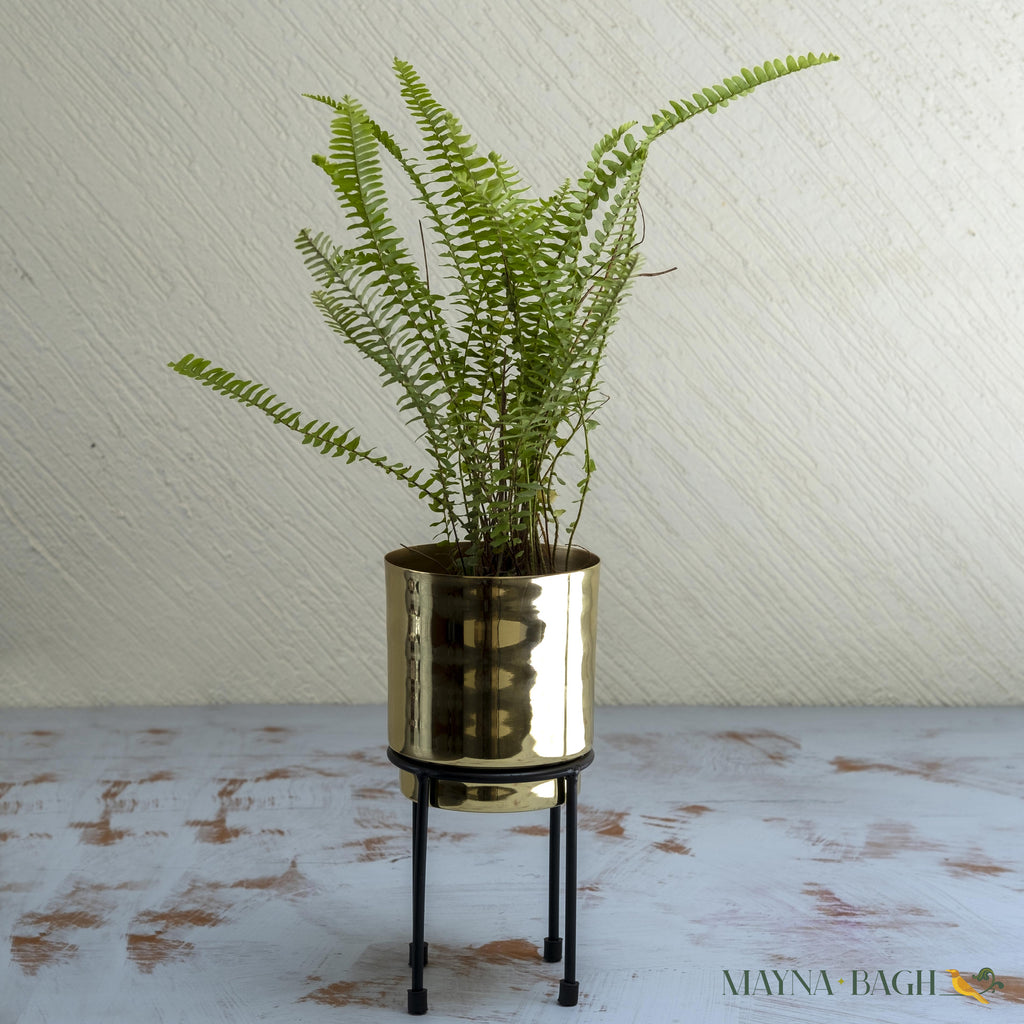 Gold Gleam Planter